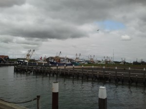 Hafen Oudeschild